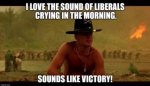 1732644842389.png